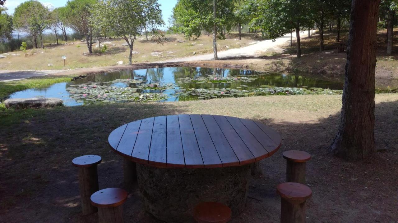 Quinta Da Fonte - Agroturismo Barroselas Exterior photo