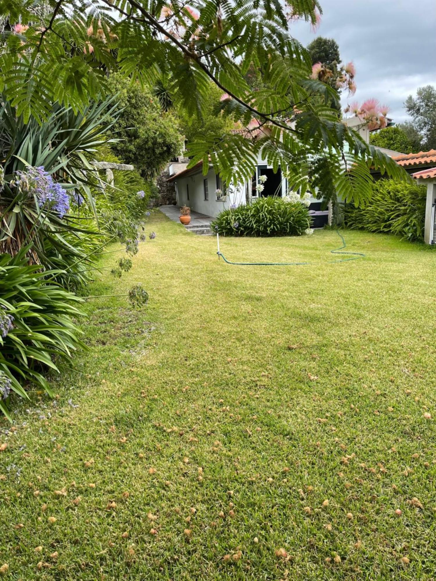Quinta Da Fonte - Agroturismo Barroselas Exterior photo